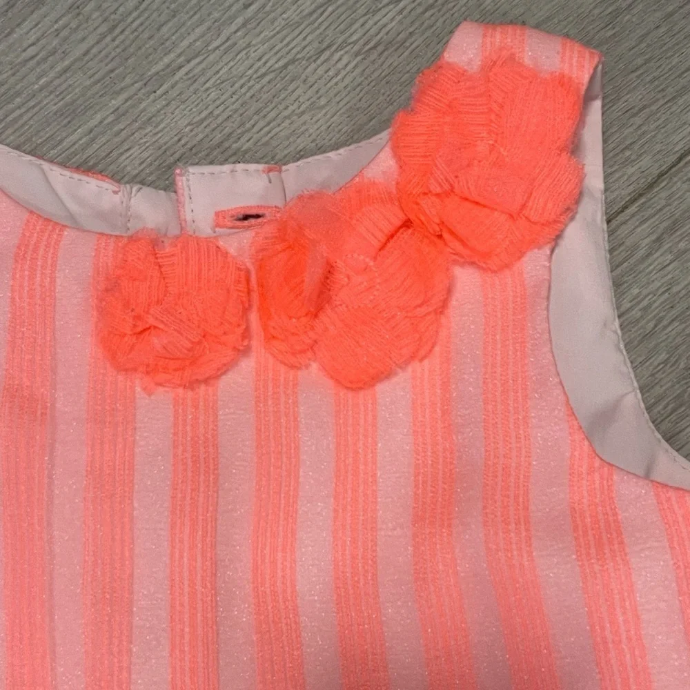 Cat & Jack 2T Charming Pink Striped Kids Dress w/under slip